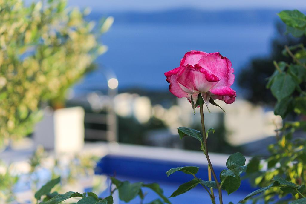 Villa Levanda Makarska Zewnętrze zdjęcie